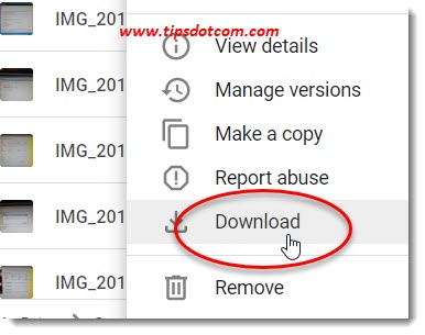 how to download whole folder in google drive