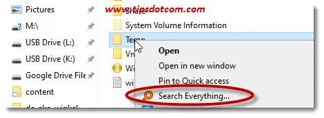 everything file search download
