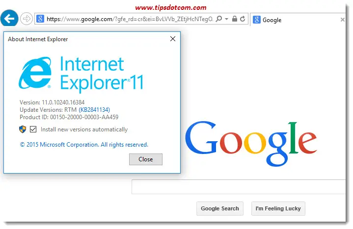 windows 10 download internet explorer